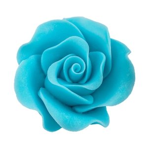 Róża Max 6 szt. niebieska