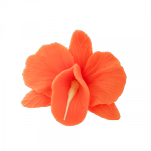 Kwiaty cukrowe - Storczyk opak. 10 szt. pomarańczowy