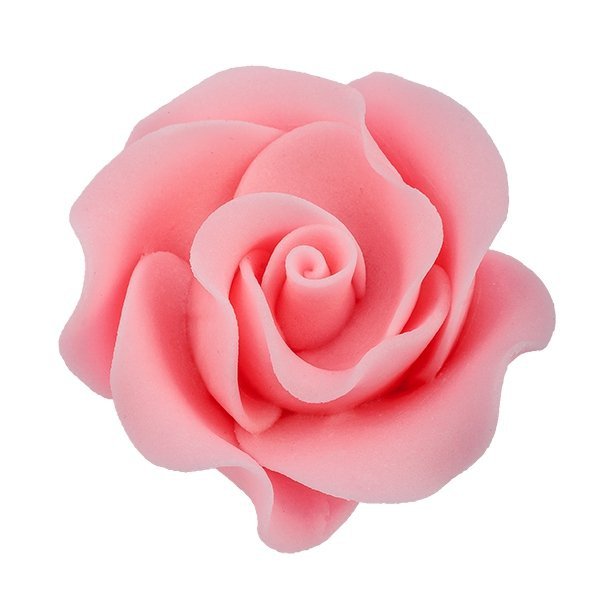 Róża Max 6 szt. różowa