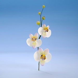 Modecor - Orchidea - bukiet z cukru 33 cm