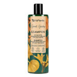 Shampoo for hair weakened with stylization treatment Pumpkin Seed Oil, Vis Plantis