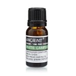 Camphor Essential Oil, Ancient Wisdom, 10ml