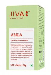 JIVA AYURVEDA Amla Suplement diety wspomagający trawienie i odporność Tabletki 120 szt.