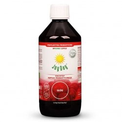 Eko Koncentrat Napoju Probiotycznego Głóg, Intenson, 500 ml
