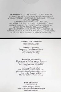 BUGATTI Performance Silver Metal Woda toaletowa dla mężczyzn 100 ml 