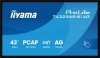 IIYAMA Monitor 43 cale T4329AS-B1AG VA,4K,HDMIx2,USB-C,RJ45,2x10W,WiFi,     Android 14, Signal FailOver, Whiteboard, iiSignage (CMS), iiControl (DMS),   iiS
