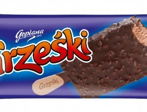 9145 Lody Grzeski na patyku 30 x 100 ml