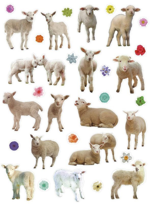 Naklejka Craft-Fun Series Sheep 490754 TITANUM