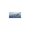 Trumpeter 01680 Mig-31 B/BM Foxhound