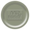 Mr. Acrysion N070 RLM02 Gray