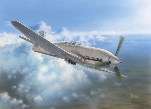 Special Hobby 32045 1/32 Heinkel He-100 D