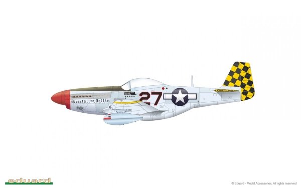 Eduard 82101 P-51D-5 1/48