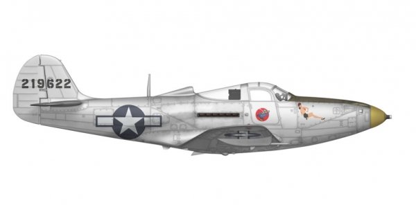 Arma Hobby 40013 P-39 Airacobra Recon 1/48
