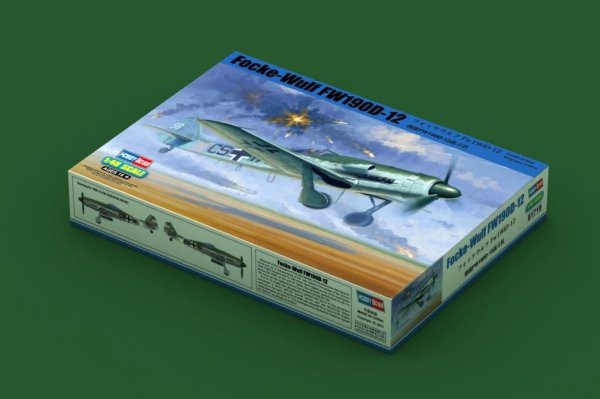 Hobby Boss 81719 Focke-Wulf Fm190D-12 1/48