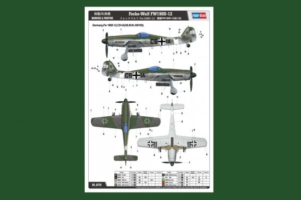 Hobby Boss 81719 Focke-Wulf Fm190D-12 1/48