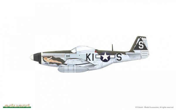 Eduard 82101 P-51D-5 1/48