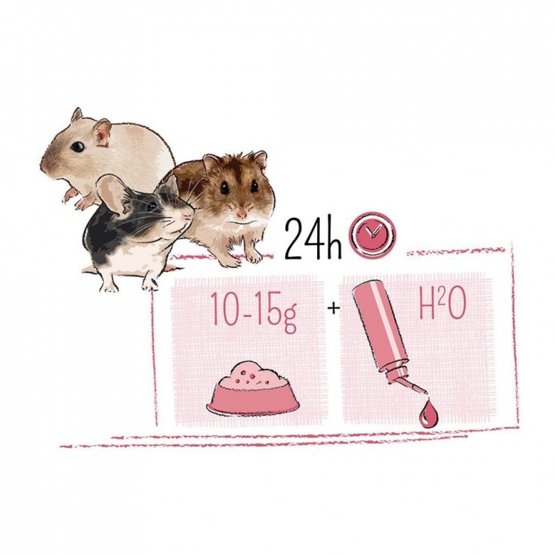 Witte Molen PUUR 8kg Mini-Hamster &amp; Friends pyszne muesli dla chomików karłowatych, myszoskoczków i myszy