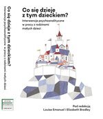 Co się dzieje z tym dzieckiem? Interwencje psychoanalityczne w pracy z rodzinami z małymi dziećmi