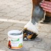 Preparat z zielonej gliny na stawy, mięśnie, ścięgna i więzadła Mineralpaste 
