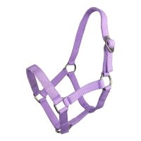 Kantar taśmowy Shetty, kolor fioletowy 