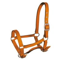 Kantar źrebięcy Tobi pomarańczowy 