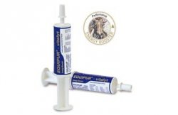 Pasta energetyczna w strzykawce Equipur Vitalyt