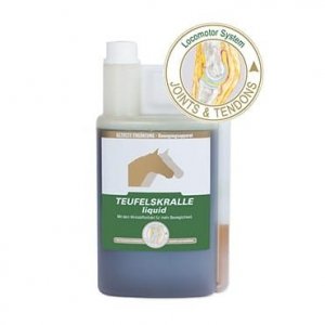 Czarci pazur syrop Equipur teufelskralle liquid