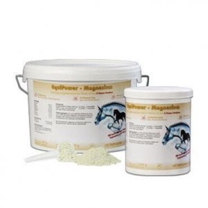 Magnez Magnesium Equi Power