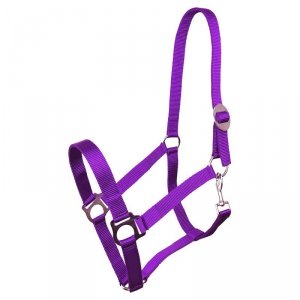 Kantar taśmowy Harmony fioletowy