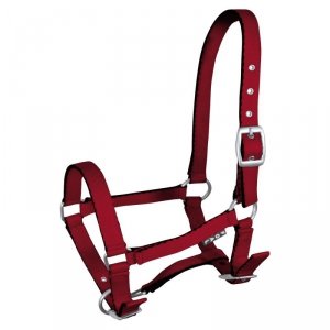 Kantar źrebięcy Tobi, kolor koralowy