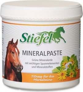 Preparat z zielonej gliny na stawy, mięśnie, ścięgna i więzadła Mineralpaste 