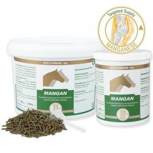 Mangan P Equipur