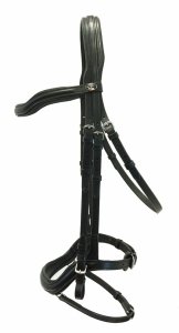 Ogłowie anatomiczne Anatomica