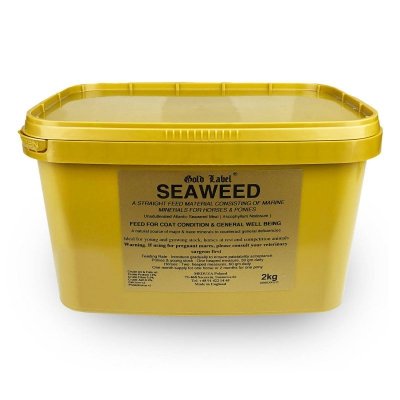 Seaweed algi morskie suplement