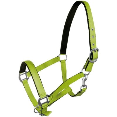 Kantar Fluo zielony
