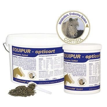 Układ hormonalny, kortyzol Equipur opticort