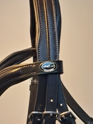 Ogłowie anatomiczne Anatomica