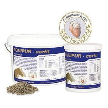 Serce i krwioobieg Equipur corfit