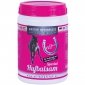 Balsam do kopyt Spezial Hufbalsam GirlzSerie 