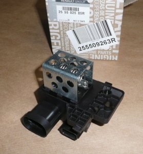 Original 255509263R