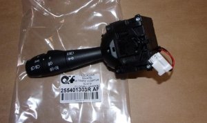255401303R  Original  Neu Autoteile  Original 