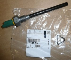 Original 1131G9