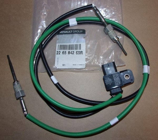 226584269R Neu Autoteile AF