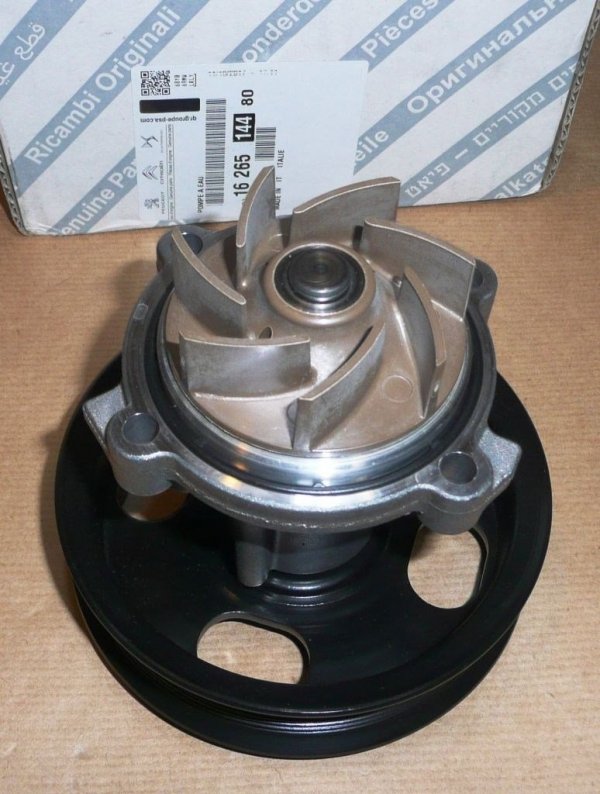 Original 1626514480
