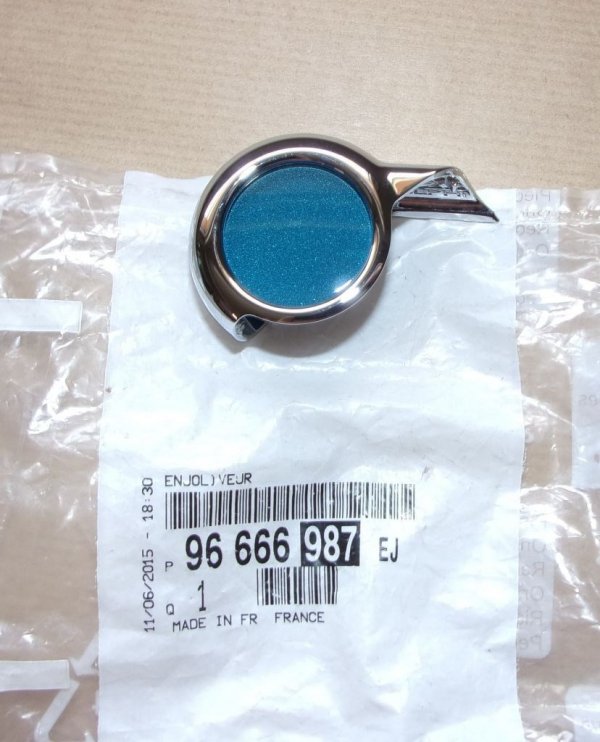 Original 96666987EJ