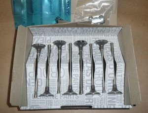 Original 8x soupapes d'admission Renault 2.0 dCi M9R722 M9R610 M9R830 , 132012274R
