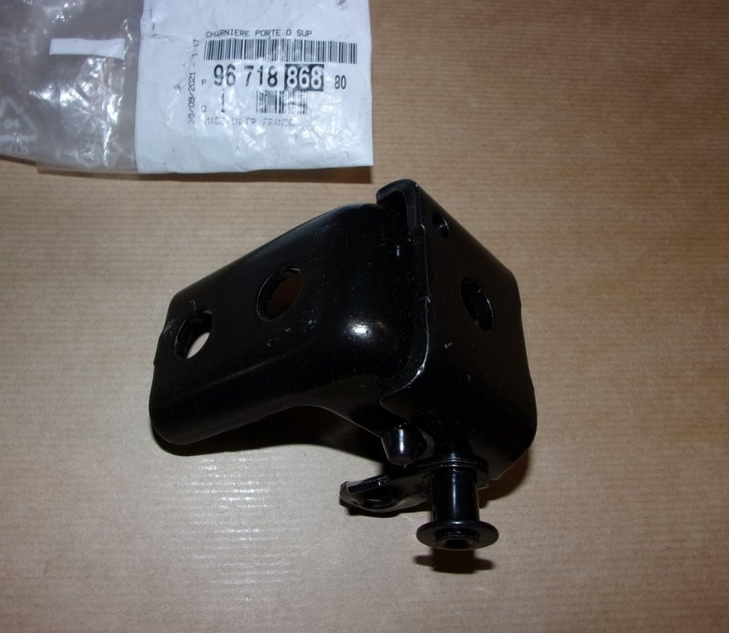 Charnière de porte Citroën C3 III arrière droit, 9671886880, 9671886880, 