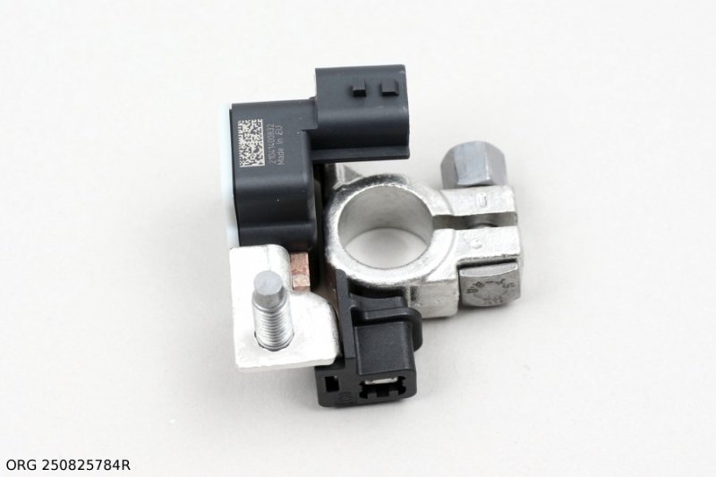 ORIGINAL borne de batterie pôle négatif avec fusible RENAULT CAPTUR CLIO IV TRAFIC, 250825784R, 294G000Q0A , 93458185