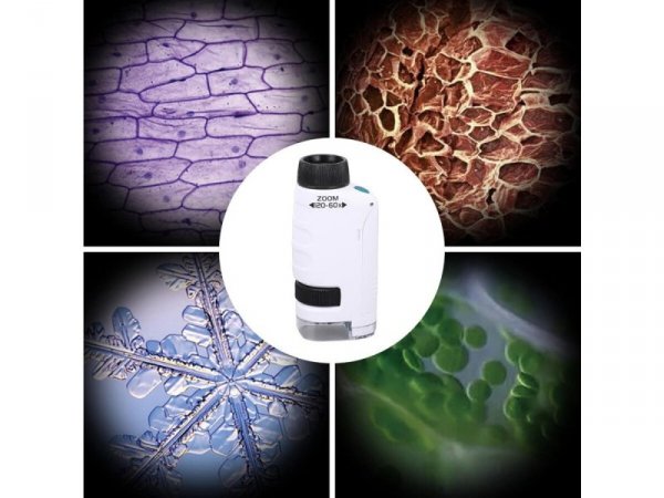 Edukacyjny Mikroskop Stacjonarny Kieszonkowy Lupa Lornetka 3w1 Zabawka Naukowa Przybliżenie Do 1200x