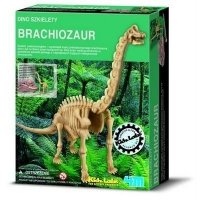 Wykopaliska Brachiozaur - dino szkielet Wykopaliska Brachiozaur - dino szkielet